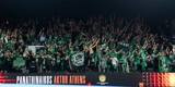 Πράσινη... αποθέωση στο αεροδρόμιο! (vid)