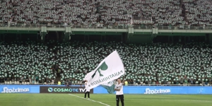 6297167.jpg