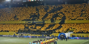 BSC Young Boys fans.jpg