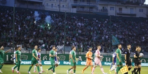 opadoi-leoforos.jpg