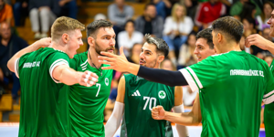 pa0 - volleyball.png