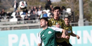 pao-aris-k19 (1).jpg