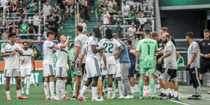 paofc.jpg