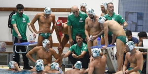 polo.jpg