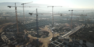 votanikos gipedo.png