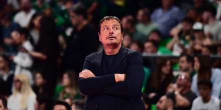 ataman-panathinaikos (1).jpg