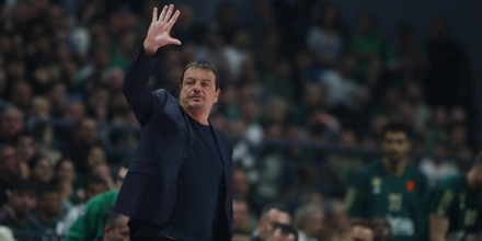 ataman.jpg