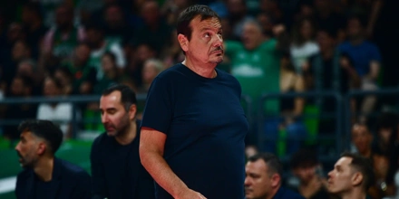 ataman.jpg