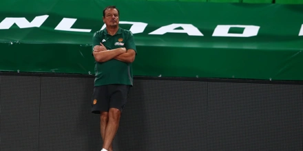 ataman.jpg