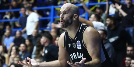 calathes (2).jpg