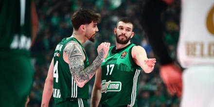 hernangomez-rogkavopoulos.jpg