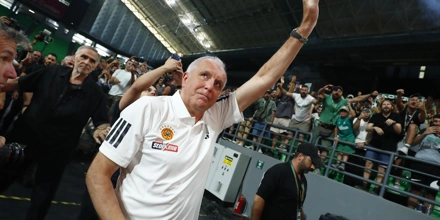 OBRADOVIC.jpg