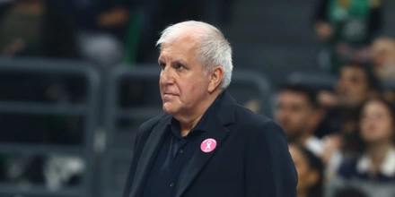 obradovic (1).jpg