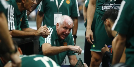 obradovic.jpg