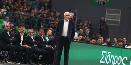 obradovic.jpg