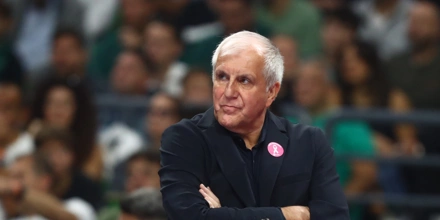 obradovic.jpg