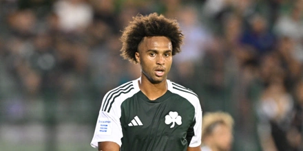 palmer-brown.jpg