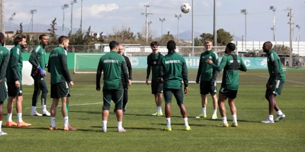 panathinaikos-training.jpg