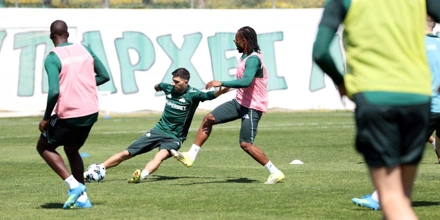 panathinaikos-training.jpg