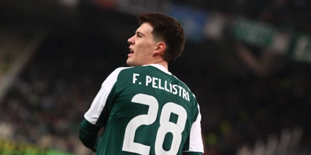 pellistri-panathinaikos.jpg