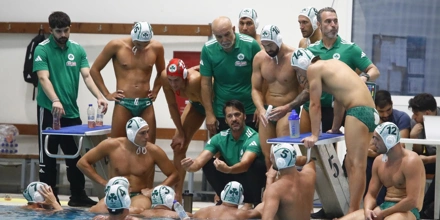 polo.jpg