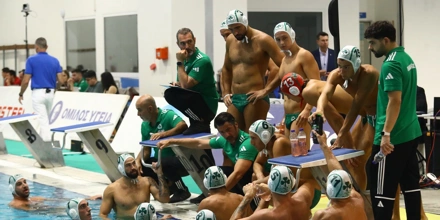 polo.jpg