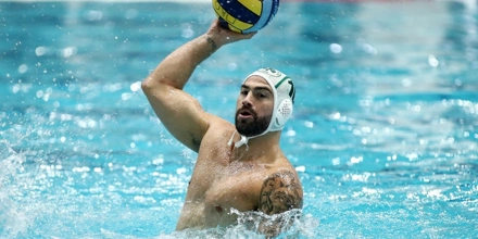 polo.jpg