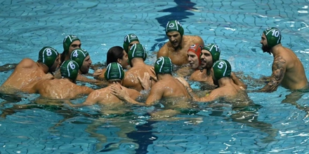 polo.jpg