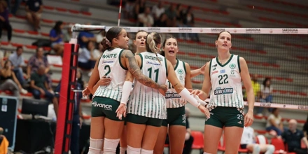 volley.jpg