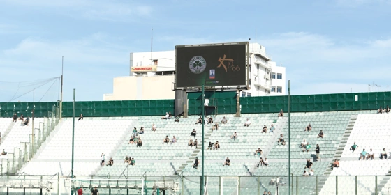 Παναθηναϊκός:  Συνθήματα κατά Αλαφούζου - Παπαδημητρίου στη Λεωφόρο