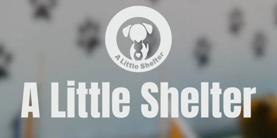 Όμορφη κίνηση από τον Παναθηναϊκό - Ο οργανισμός που τοποθετείται στη φανέλα του